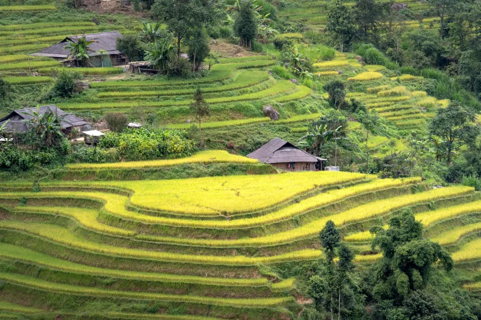 Kho gạo của Huyền Ba